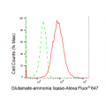 LifeSab™ KD-Validated GLNS Rabbit mAb (20 μl)