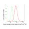 LifeSab™ KD-Validated GLNS Rabbit mAb (20 μl)