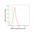 LifeSab™ KD-Validated IRAK3 Rabbit mAb (20 μl)