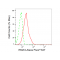 LifeSab™ KD-Validated IRAK3 Rabbit mAb (20 μl)