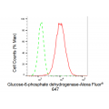 LifeSab™ KD-Validated G6PD Rabbit mAb (20 μl)