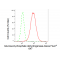 LifeSab™ KD-Validated G6PD Rabbit mAb (20 μl)