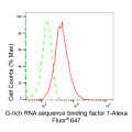 LifeSab™ KD-Validated GRSF1 Rabbit mAb (20 μl)