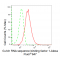 LifeSab™ KD-Validated GRSF1 Rabbit mAb (20 μl)