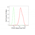 LifeSab™ KD-Validated PCAF Rabbit mAb (20 μl)