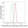 LifeSab™ KD-Validated PI3KCB Rabbit mAb (20 μl)