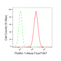 LifeSab™ KD-Validated Flotillin 1 Rabbit mAb (20 μl)