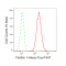 LifeSab™ KD-Validated Flotillin 1 Rabbit mAb (20 μl)