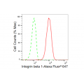 LifeSab™ KD-Validated CD29 Rabbit mAb (20 μl)