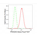 LifeSab™ KD-Validated PRAS40 Rabbit mAb (20 μl)