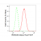 LifeSab™ KD-Validated PRAS40 Rabbit mAb (20 μl)