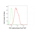 LifeSab™ KD-Validated PKC alpha Rabbit mAb (20 μl)