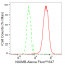 LifeSab™ KD-Validated NUMB Rabbit mAb (20 μl)