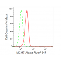 LifeSab™ KD-Validated MCM7 Rabbit mAb (20 μl)