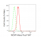 LifeSab™ KD-Validated MCM7 Rabbit mAb (20 μl)