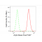 LifeSab™ KD-Validated Arp2 Rabbit mAb (20 μl)