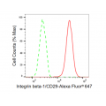 LifeSab™ KD-Validated CD29 Rabbit mAb (20 μl)