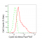 LifeSab™ KD-Validated CCNA Rabbit mAb (20 μl)