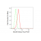 LifeSab™ KD-Validated MCM7 Rabbit mAb (20 μl)