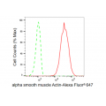 LifeSab™ KD-Validated ACTSA Rabbit mAb (20 μl)