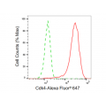 LifeSab™ KD-Validated Cdk4 Rabbit mAb (20 μl)