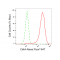 LifeSab™ KD-Validated Cdk4 Rabbit mAb (20 μl)