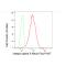 LifeSab™ KD-Validated CD49e Rabbit mAb (20 μl)