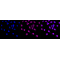 LifeSab™ KD-Validated ZFH Rabbit mAb (20 μl)