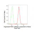 LifeSab™ KD-Validated EIF2C Rabbit mAb (20 μl)