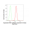 LifeSab™ KD-Validated EIF2C Rabbit mAb (20 μl)