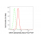 LifeSab™ KD-Validated GSK3A Rabbit mAb (20 μl)