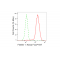 LifeSab™ KD-Validated Flotillin 1 Rabbit mAb (20 μl)