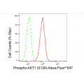 LifeSab™ KD-Validated Phospho-AKT1 (S129) Rabbit mAb (20 μl)