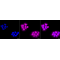 LifeSab™ KD-Validated CPP32B Rabbit mAb (20 μl)