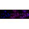 LifeSab™ KD-Validated GSK3B Rabbit mAb (20 μl)