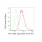 LifeSab™ KD-Validated ACL Rabbit mAb (20 μl)