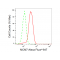 LifeSab™ KD-Validated MCM7 Rabbit mAb (20 μl)