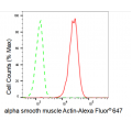 LifeSab™ KD-Validated ACTSA Rabbit mAb (20 μl)