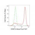 LifeSab™ KD-Validated EHMT2 Rabbit mAb (20 μl)