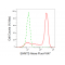 LifeSab™ KD-Validated EHMT2 Rabbit mAb (20 μl)