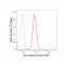 LifeSab™ KD-Validated Src Rabbit mAb (20 μl)