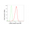 LifeSab™ KD-Validated LAMP2 Rabbit mAb (20 μl)