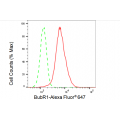 LifeSab™ KD-Validated BubR1 Rabbit mAb (20 μl)