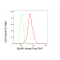 LifeSab™ KD-Validated BubR1 Rabbit mAb (20 μl)