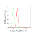 LifeSab™ KD-Validated Tuberin Rabbit mAb (20 μl)