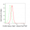 LifeSab™ KD-Validated FTH1 Rabbit mAb (20 μl)