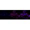 LifeSab™ KD-Validated Phospho-GSK3B (Ser9) Rabbit mAb (20 μl)