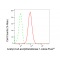 LifeSab™ KD-Validated ACAT Rabbit mAb (20 μl)