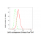 LifeSab™ KD-Validated BAG3 Rabbit mAb (20 μl)