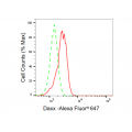 LifeSab™ KD-Validated DAXX Rabbit mAb (20 μl)